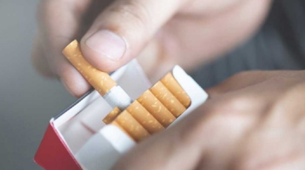 سجائر أوسكار - 03